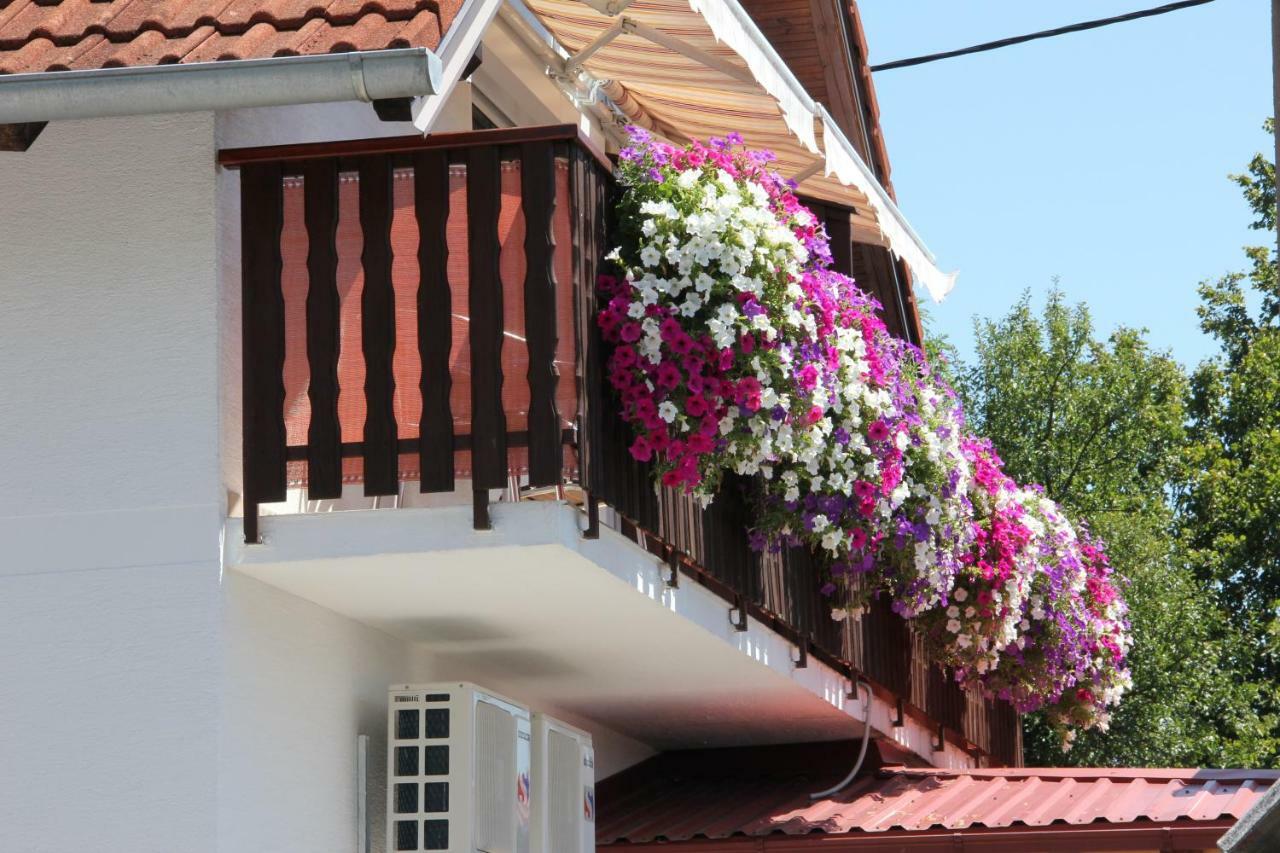 House Marija B&B Селиште-Дрежничко Экстерьер фото